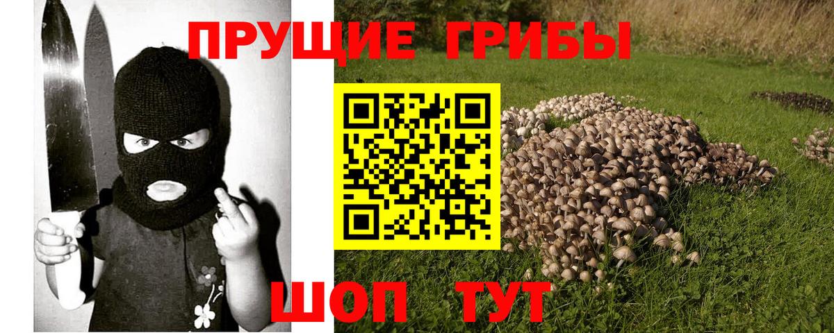 Псилоцибиновые грибы MAGIC MUSHROOMS Калуга